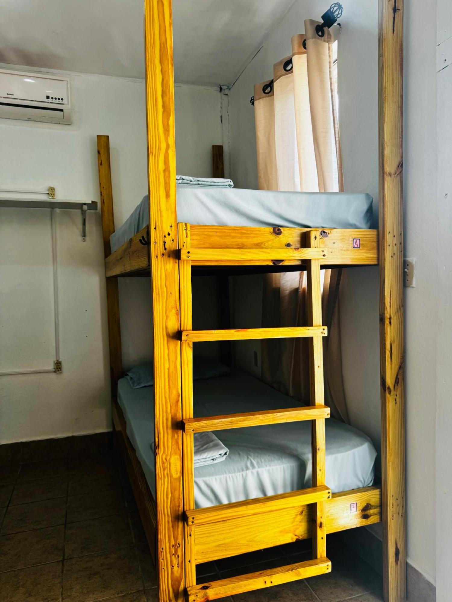 Bed in 4-Bed Dormitory Room